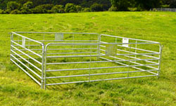 Gibney Sheep Hurdles